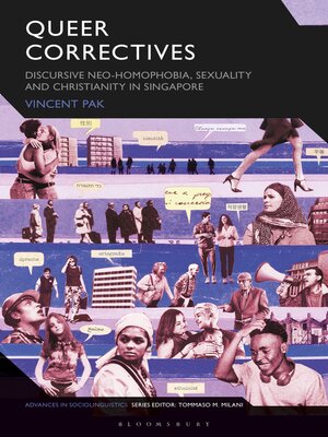 cover image of Queer Correctives